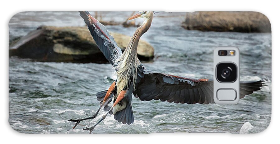 Blue Heron Galaxy Case featuring the photograph Smooth Landing by C Renee Martin
