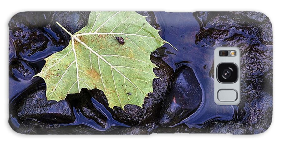Snail Galaxy Case featuring the photograph Snail on a Leaf by Buck Buchanan