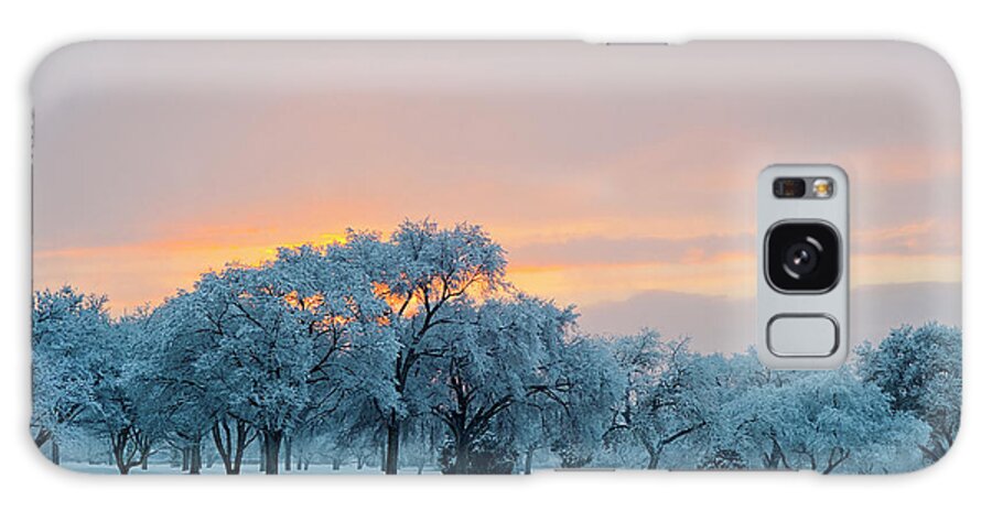 Scenics Galaxy Case featuring the photograph Snow Covered Trees At Sunset by Nancy Newell