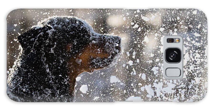 Fright Galaxy Case featuring the photograph Snow Dog by Bildagentur Zoonar Gmbh