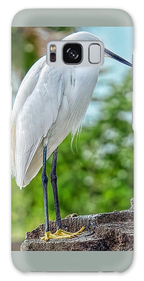 Everglades Birds Galaxy Case featuring the photograph Snow In Miami by Judy Kay