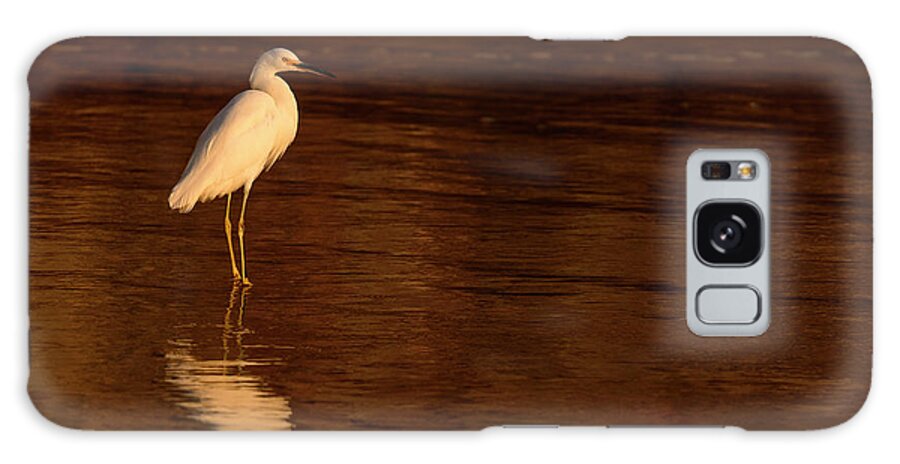 Animals Galaxy Case featuring the photograph Snowy Egret at Sunset by James Covello