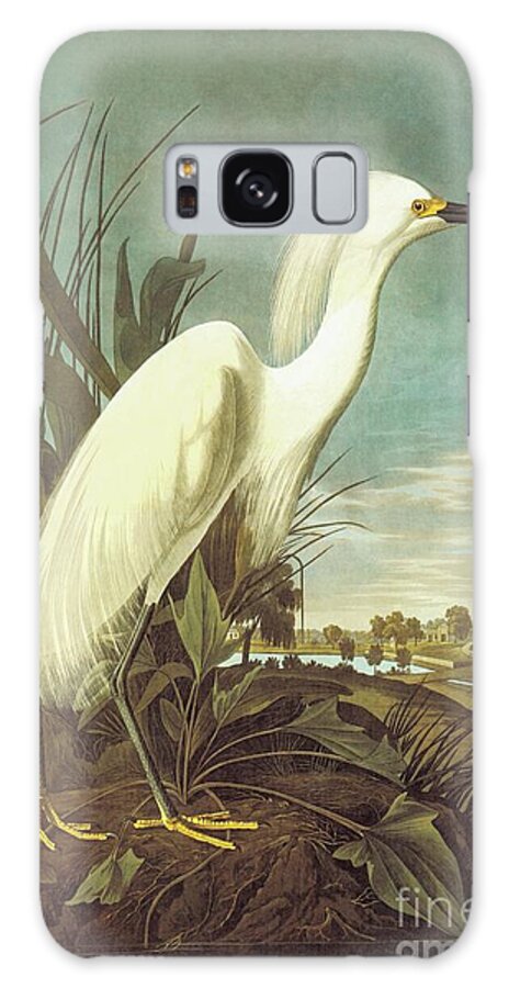 Snowy Egret Galaxy Case featuring the painting Snowy Egret, Audubon by John James Audubon