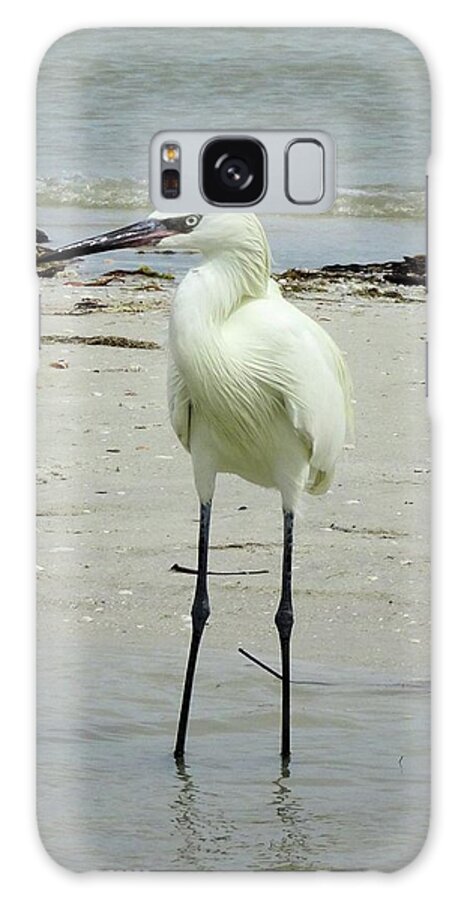 Birds Galaxy Case featuring the photograph Snowy Egret Profile by Karen Stansberry