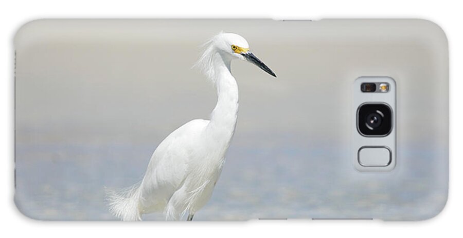 Latin America Galaxy Case featuring the photograph Snowy Egret by Skyhobo