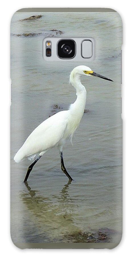 Birds Galaxy Case featuring the photograph Snowy Egret Strolling by Karen Stansberry