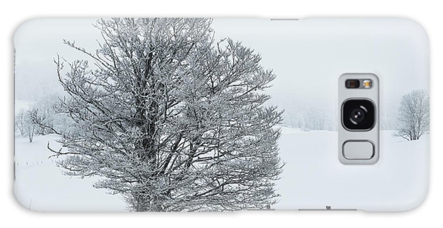 Tree Galaxy Case featuring the photograph Snowy tree - 5 by Paul MAURICE