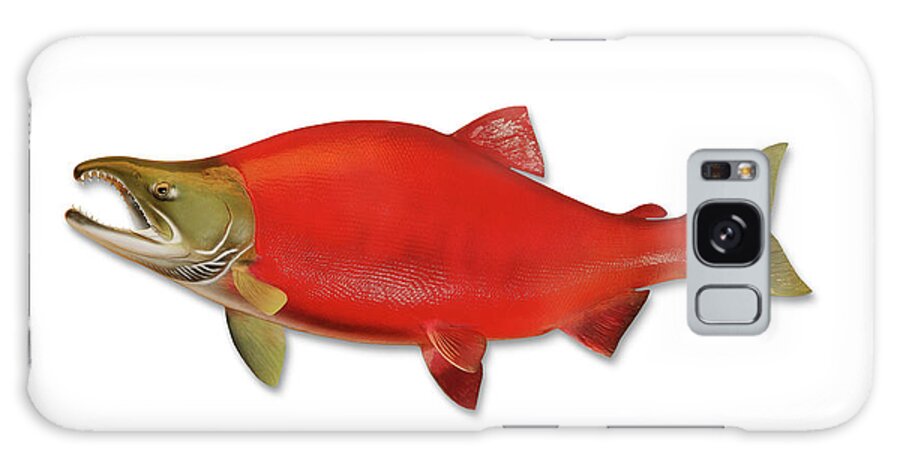 Orange Color Galaxy Case featuring the photograph Sockeye Salmon With Clipping Path by Georgepeters