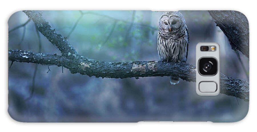 Owl Galaxy S8 Case featuring the photograph Solitude - Landscape by Rob Blair