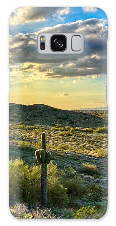 Sun Galaxy S8 Case featuring the photograph Sonoran Desert Portrait by Anthony Giammarino