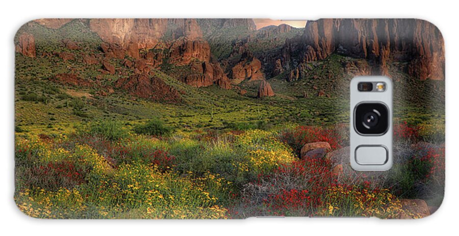 Flowers Galaxy Case featuring the photograph Sonoran Desert Springtime by Hans Brakob