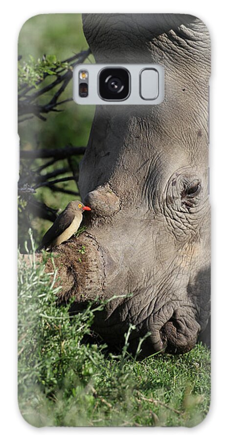 South Africa Galaxy Case featuring the photograph South African White Rhinoceros 013 by Bob Langrish