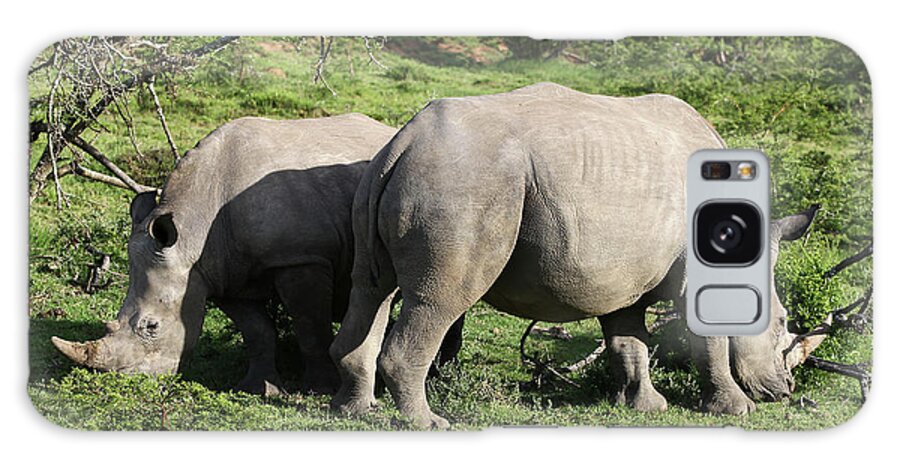 South Africa Galaxy Case featuring the photograph South African White Rhinoceros 020 by Bob Langrish