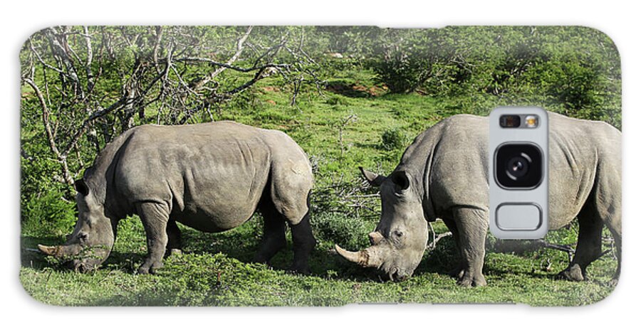 South Africa Galaxy Case featuring the photograph South African White Rhinoceros 021 by Bob Langrish