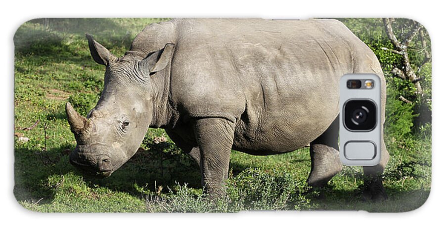 South Africa Galaxy Case featuring the photograph South African White Rhinoceros 022 by Bob Langrish