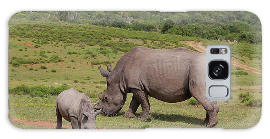 South Africa Galaxy Case featuring the photograph South African White Rhinoceros 029 by Bob Langrish