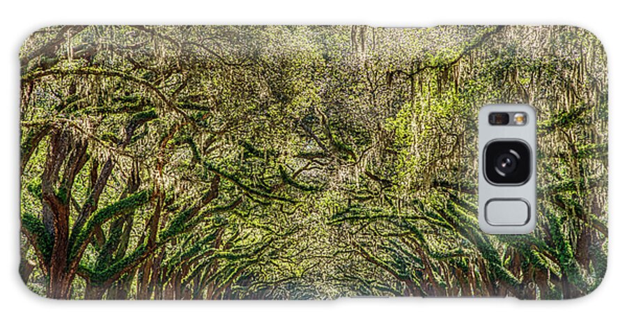 Moss Galaxy Case featuring the photograph Spanish Moss Tree Tunnel by Paul Quinn