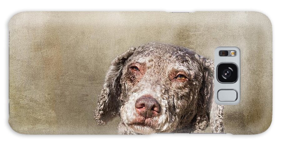 Spanish Water Dog Galaxy Case featuring the photograph Spanish Water Dog by Eva Lechner