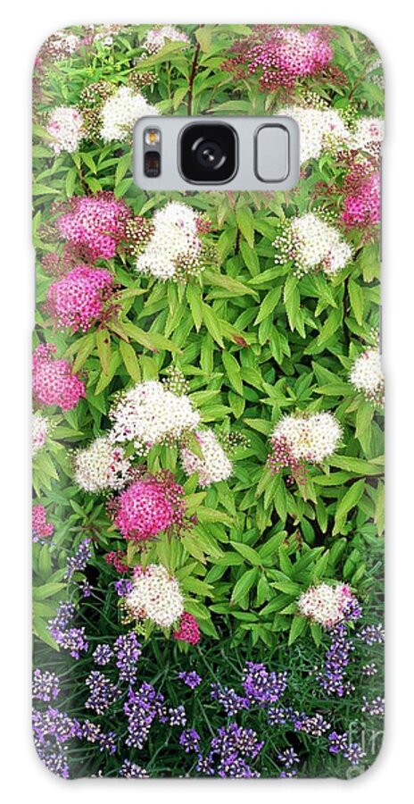 Botany Botanical Horticulture Galaxy Case featuring the photograph Spirea Japonica Shirobana by Geoff Kidd/science Photo Library