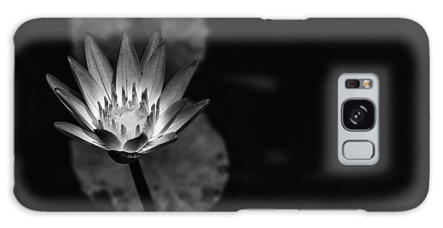 Flower Galaxy Case featuring the photograph Spotlight by Laura Roberts