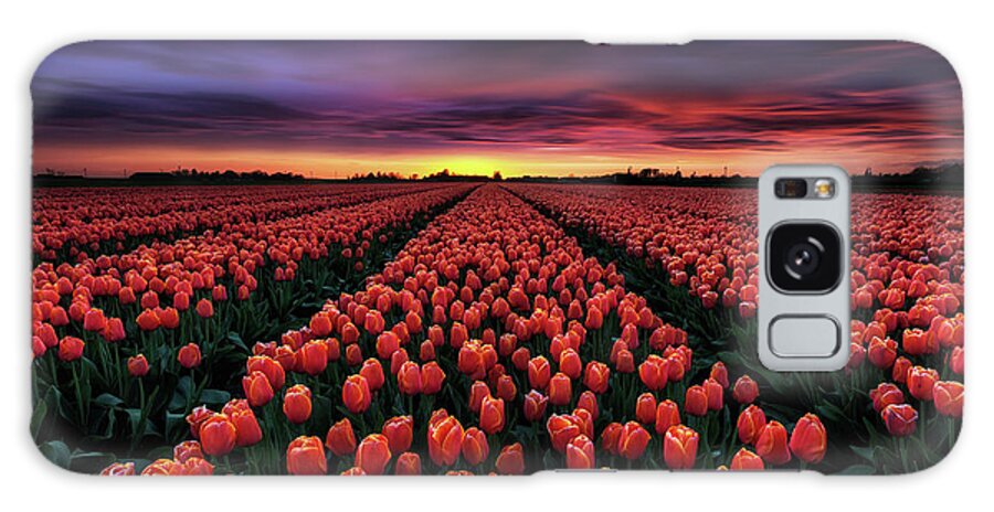 Landscape Galaxy Case featuring the photograph Spring blossoms by Jorge Maia