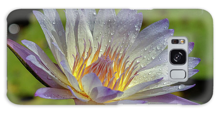 Flower Galaxy Case featuring the photograph Spring by Les Greenwood