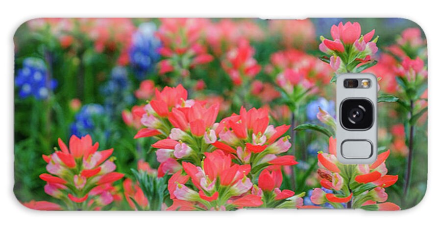 Texas Bluebonnets Galaxy Case featuring the photograph Spring Paintbrush by Johnny Boyd