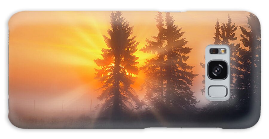 Spruce Trees Galaxy S8 Case featuring the photograph Spruce Trees in the Morning by Dan Jurak