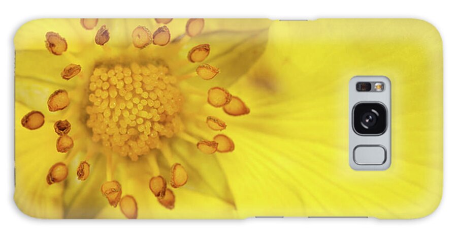 Scotland Galaxy Case featuring the photograph Stamen by Billy Currie Photography