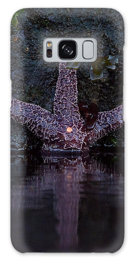 Sea Star Galaxy Case featuring the photograph Star Light by Patrick Nowotny