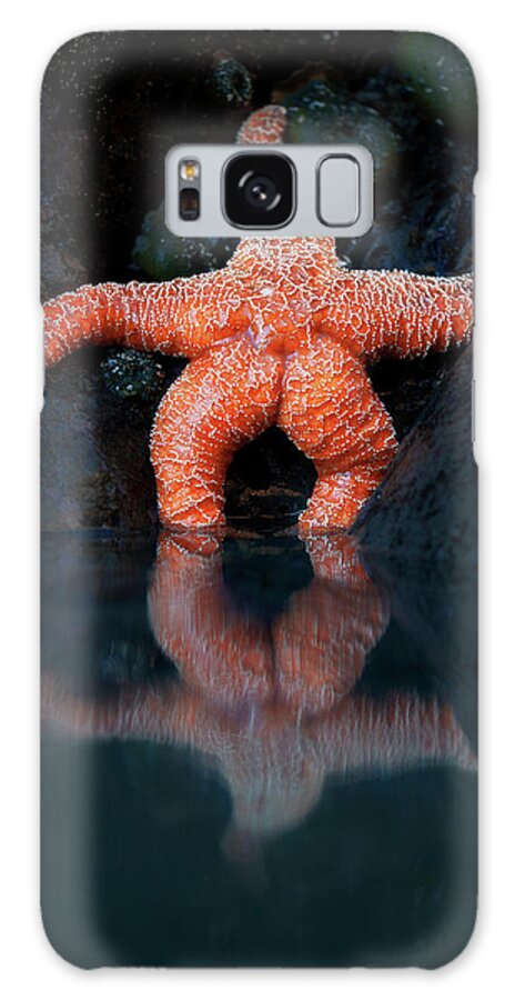Starfish Galaxy Case featuring the photograph Starfish Reflection 2 by Thomas Haney