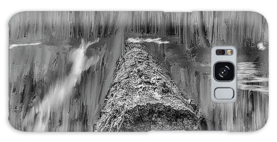 Stock In Woods Bw Galaxy Case featuring the photograph Stock In Woods BW #i6 by Leif Sohlman