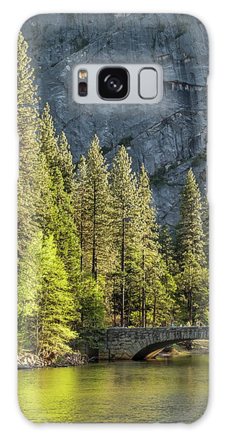Stone Galaxy Case featuring the photograph Stone and pine by David L Moore