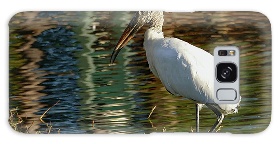 Stork Galaxy Case featuring the photograph Stork on Rippled Waters by Margaret Zabor