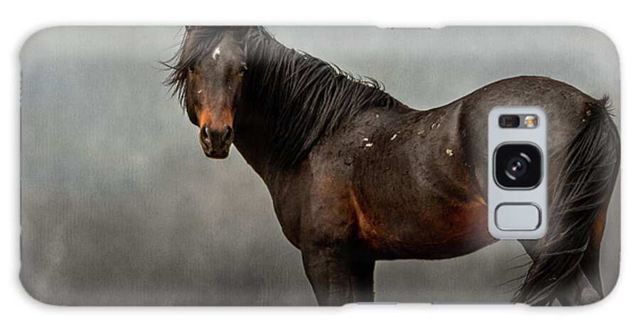 Horses Galaxy Case featuring the photograph Stormy by Mary Hone