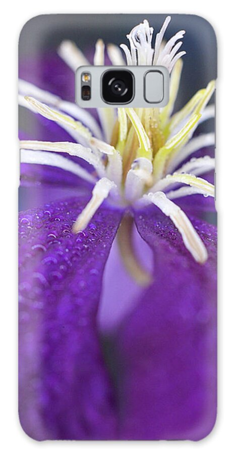 Flower Galaxy Case featuring the photograph Stretch by Michelle Wermuth