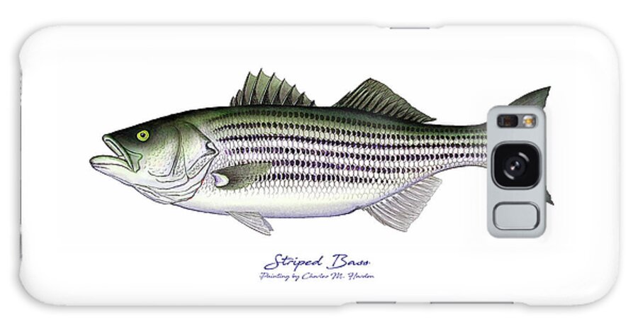 Striped Bass Art Galaxy Case featuring the painting Striped Bass by Charles Harden