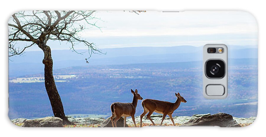 Deer Galaxy Case featuring the photograph Strolling Mount Nebo by Tammy Chesney