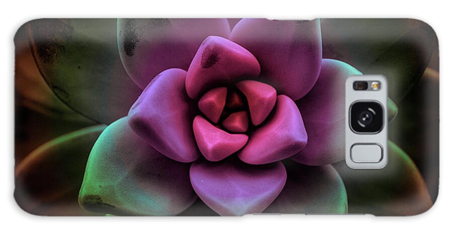 Succulent Galaxy Case featuring the photograph Succulent V by Lily Malor