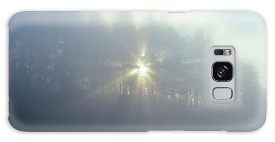 Scenics Galaxy Case featuring the photograph Sun Shining Through Trees And Fog by Design Pics/dan Sherwood