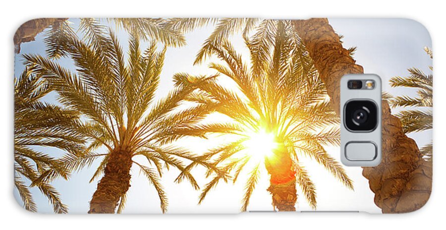 Saturated Color Galaxy Case featuring the photograph Sunbeam Coming Through Palm Tree Leaves by Pawel.gaul
