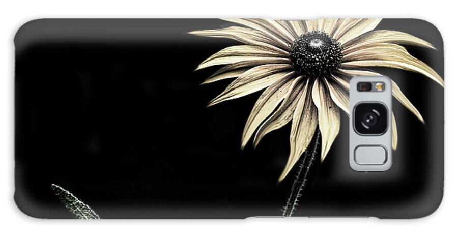 Sunflower Copy Galaxy Case featuring the photograph Sunflower Copy by Lori Hutchison