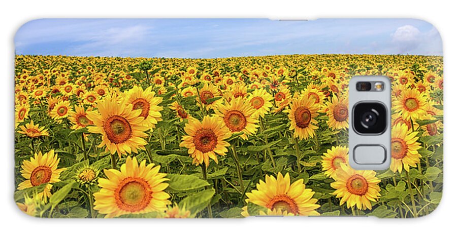 Scenics Galaxy Case featuring the photograph Sunflower Fields by Agustin Rafael C. Reyes