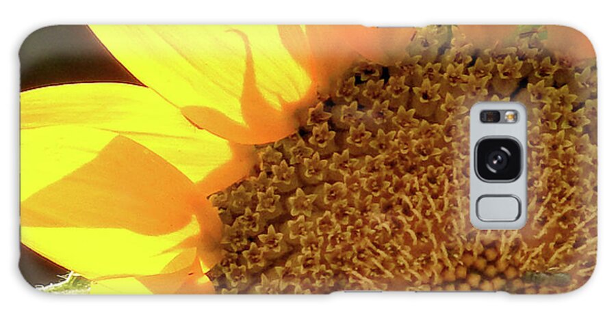 Sunflower Galaxy Case featuring the photograph Sunflower by Michael Frank