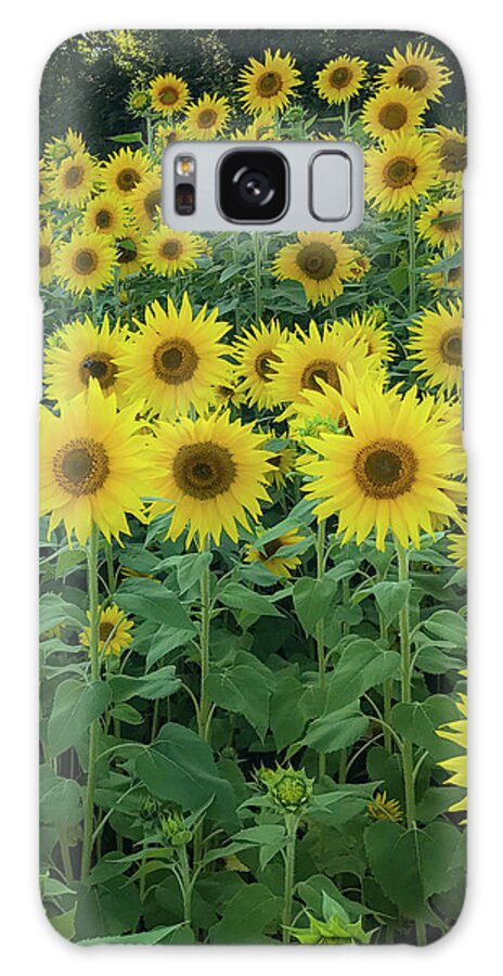 Sunflowers Galaxy Case featuring the photograph Sunflowers by Lora J Wilson