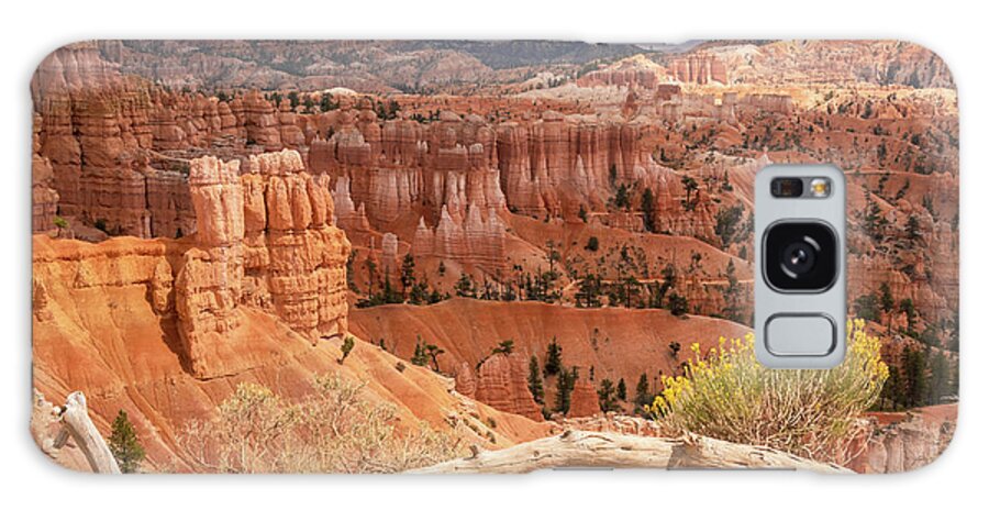 Debra Martz Galaxy Case featuring the photograph Sunrise Point - Bryce Canyon - Utah by Debra Martz