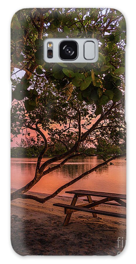 Florida Galaxy S8 Case featuring the photograph Sunrise Seating by Karin Pinkham