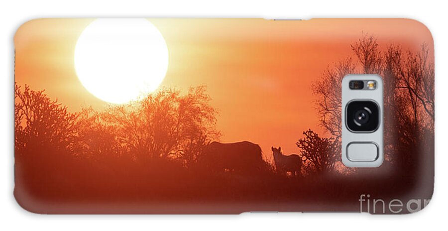 Foal Galaxy Case featuring the photograph Sunrise by Shannon Hastings
