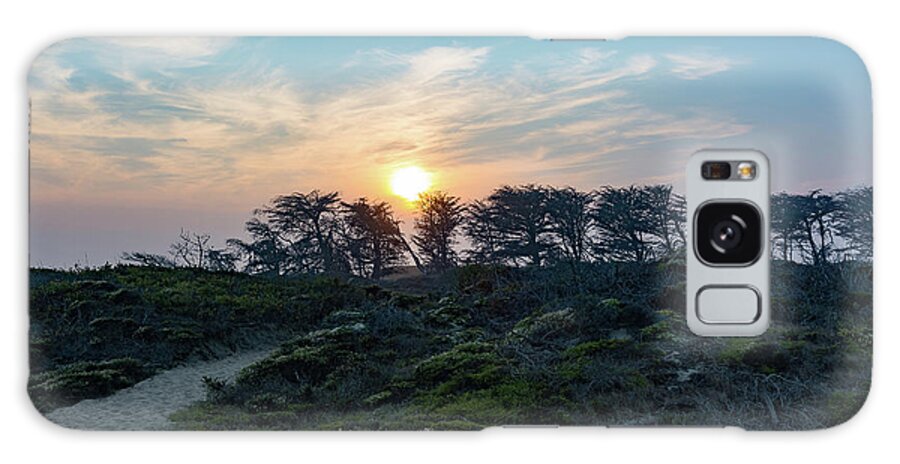 Dune Galaxy Case featuring the photograph Sunset Over Windwept Trees by Liz Albro