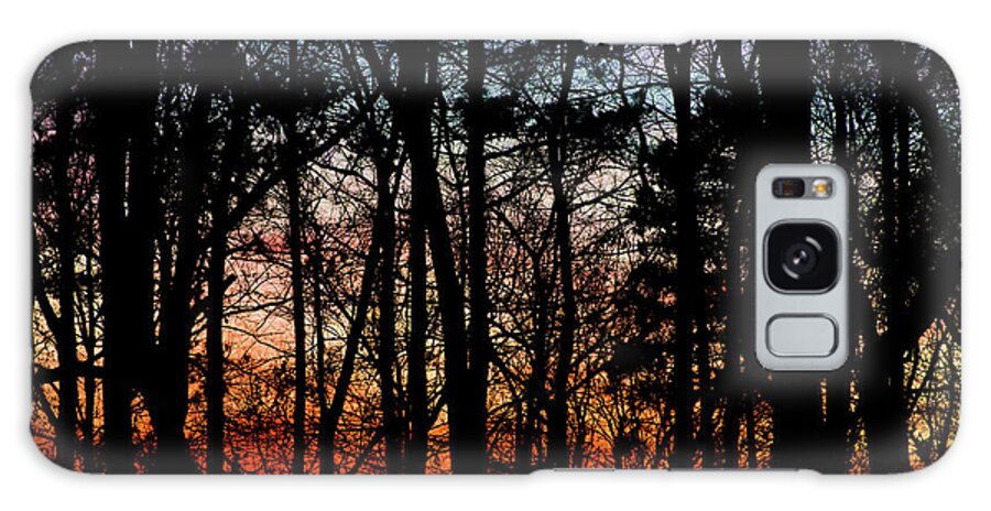 St. Florian Galaxy Case featuring the photograph Sunset Through the Trees of Winter by James-Allen